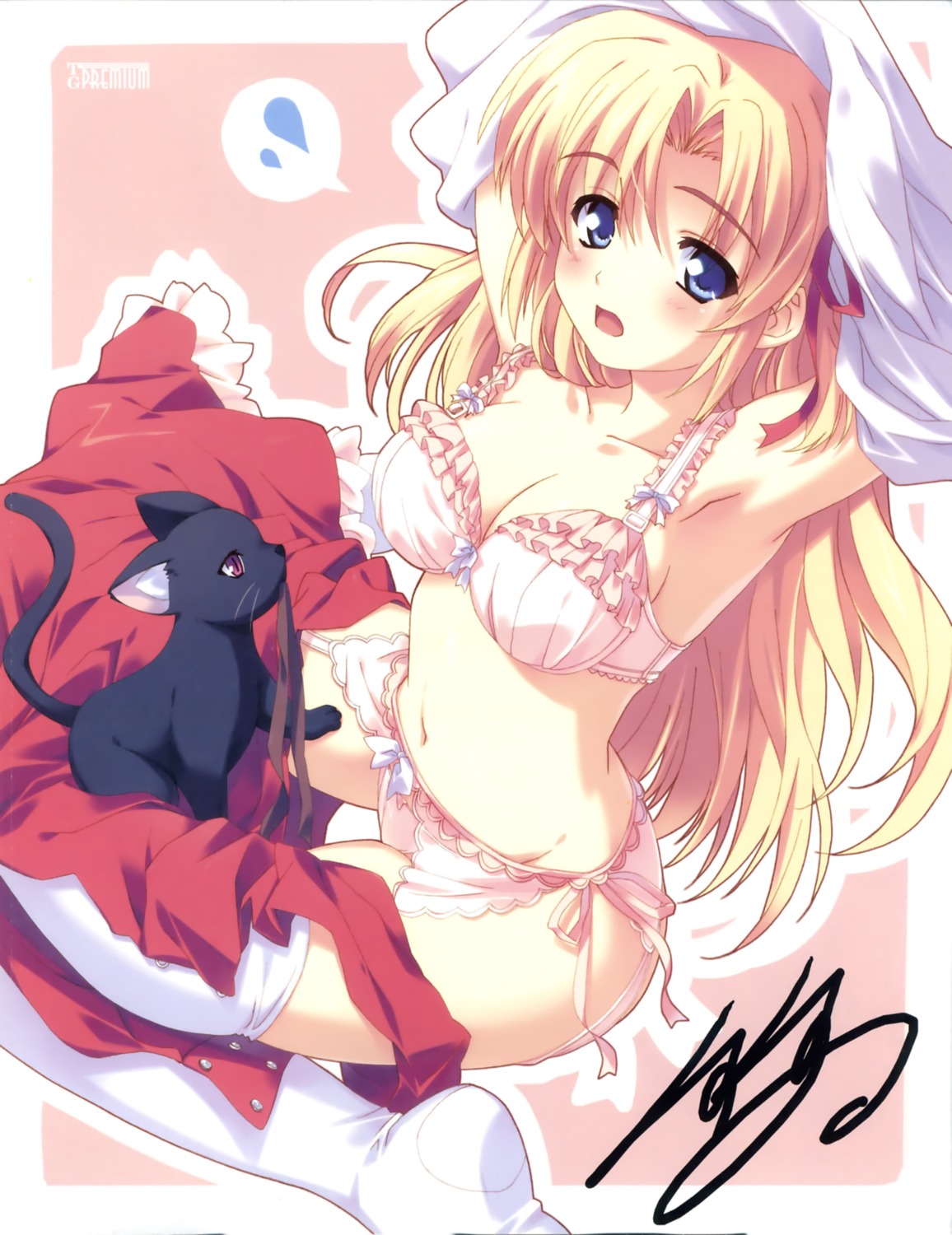 bra garter_belt kusukusu marie_rudel neko palette pantsu sakura_strasse stockings thighhighs undressing