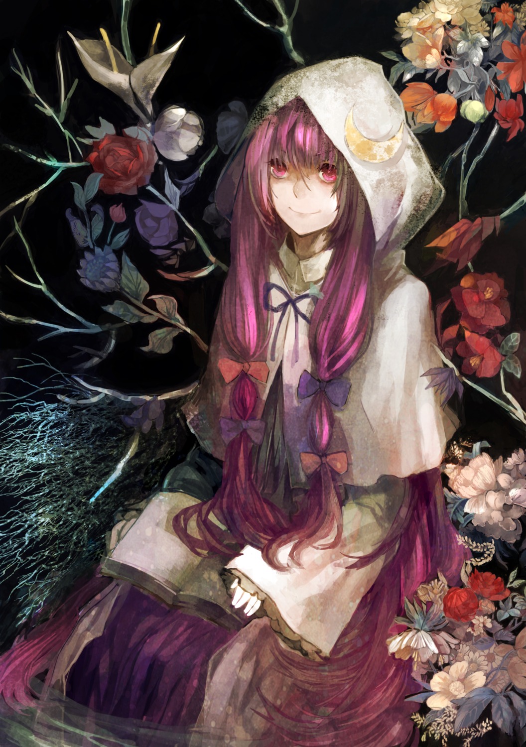 nibanmachi_wakai patchouli_knowledge touhou