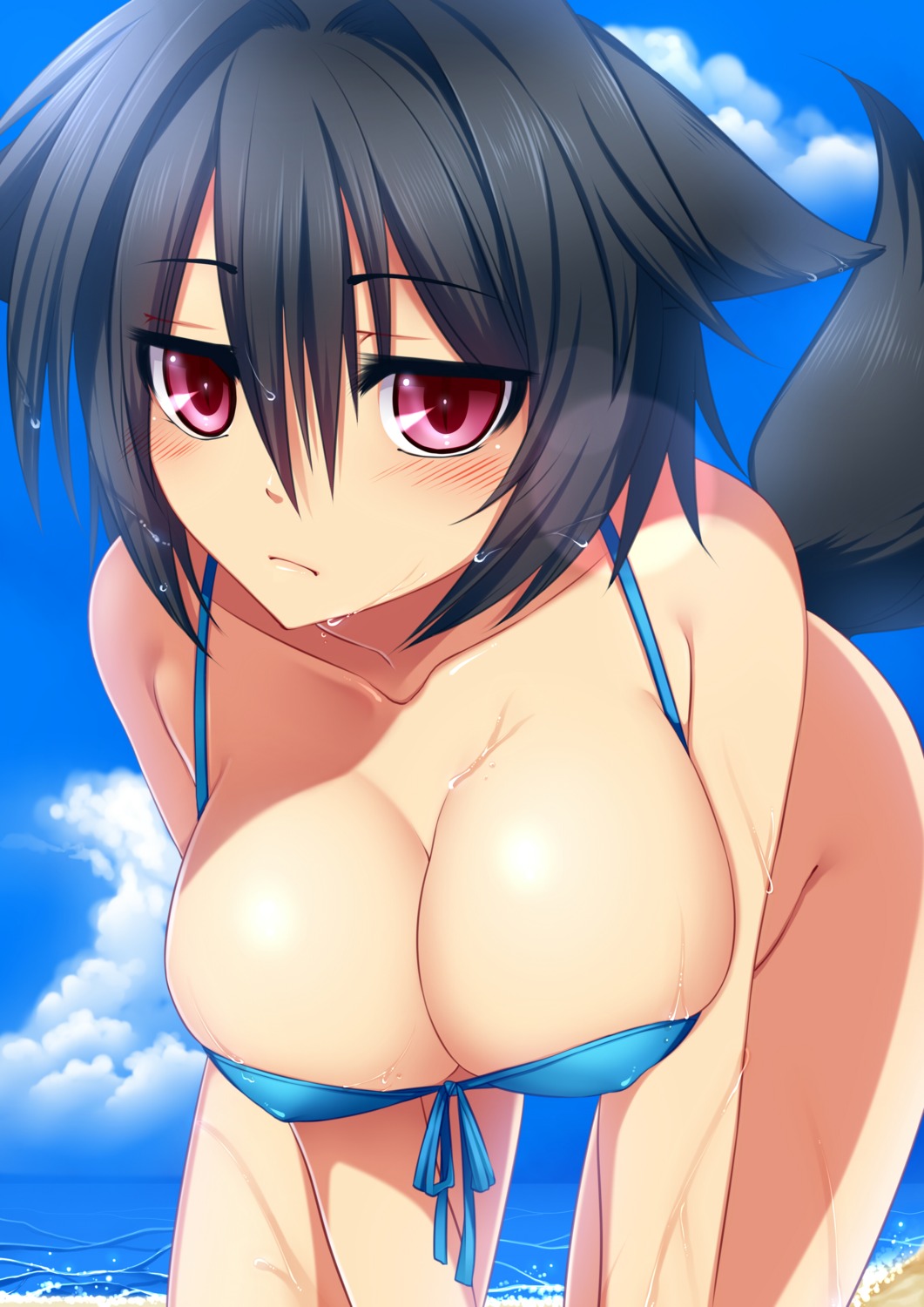 animal_ears bikini cleavage konshin swimsuits tail