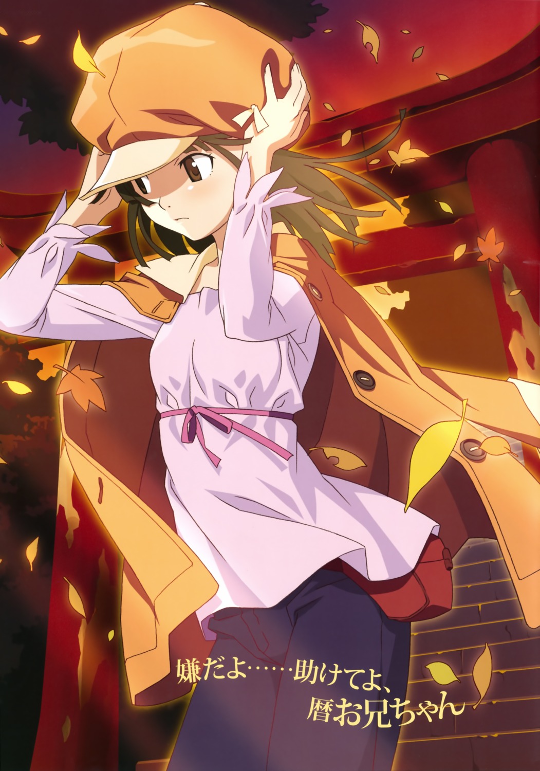 bakemonogatari monogatari_(series) sengoku_nadeko watanabe_akio