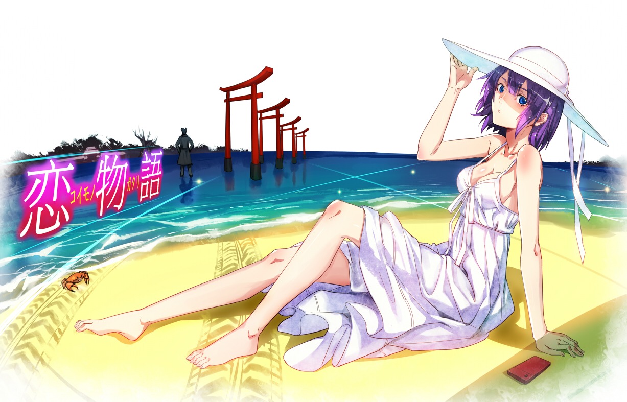 bakemonogatari cleavage dress monogatari_(series) ryuuzaki_itsu senjougahara_hitagi summer_dress