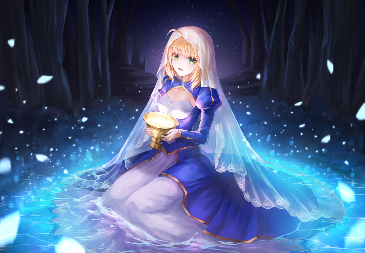 cleavage dress fate/stay_night lunacle saber wet