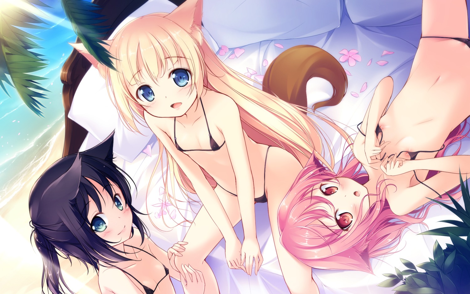 animal_ears bikini erect_nipples kazakura loli nekomimi swimsuits wallpaper