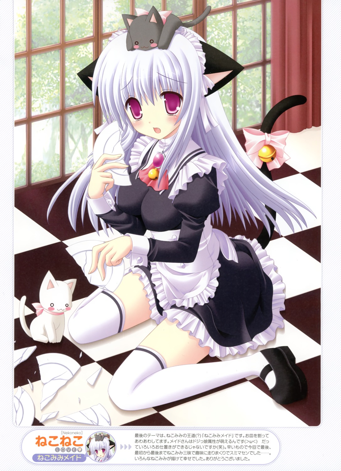 animal_ears maid nekomimi nekoneko tail thighhighs