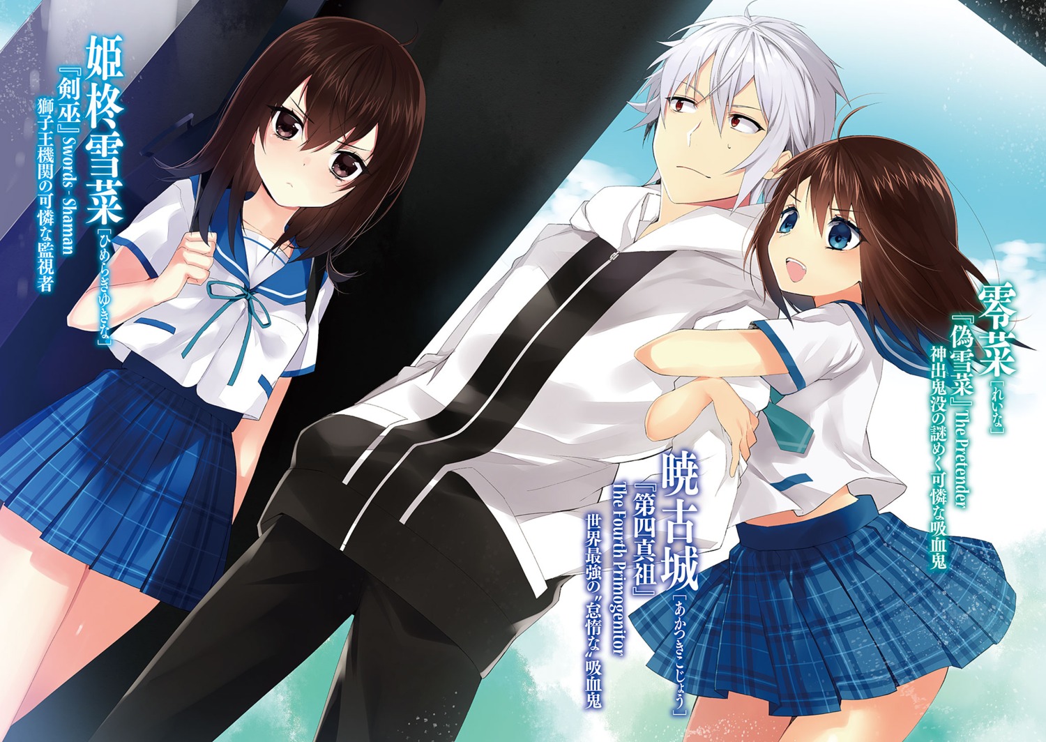 Strike the Blood Art Book #2 Cover Illustration! by Manyako : r