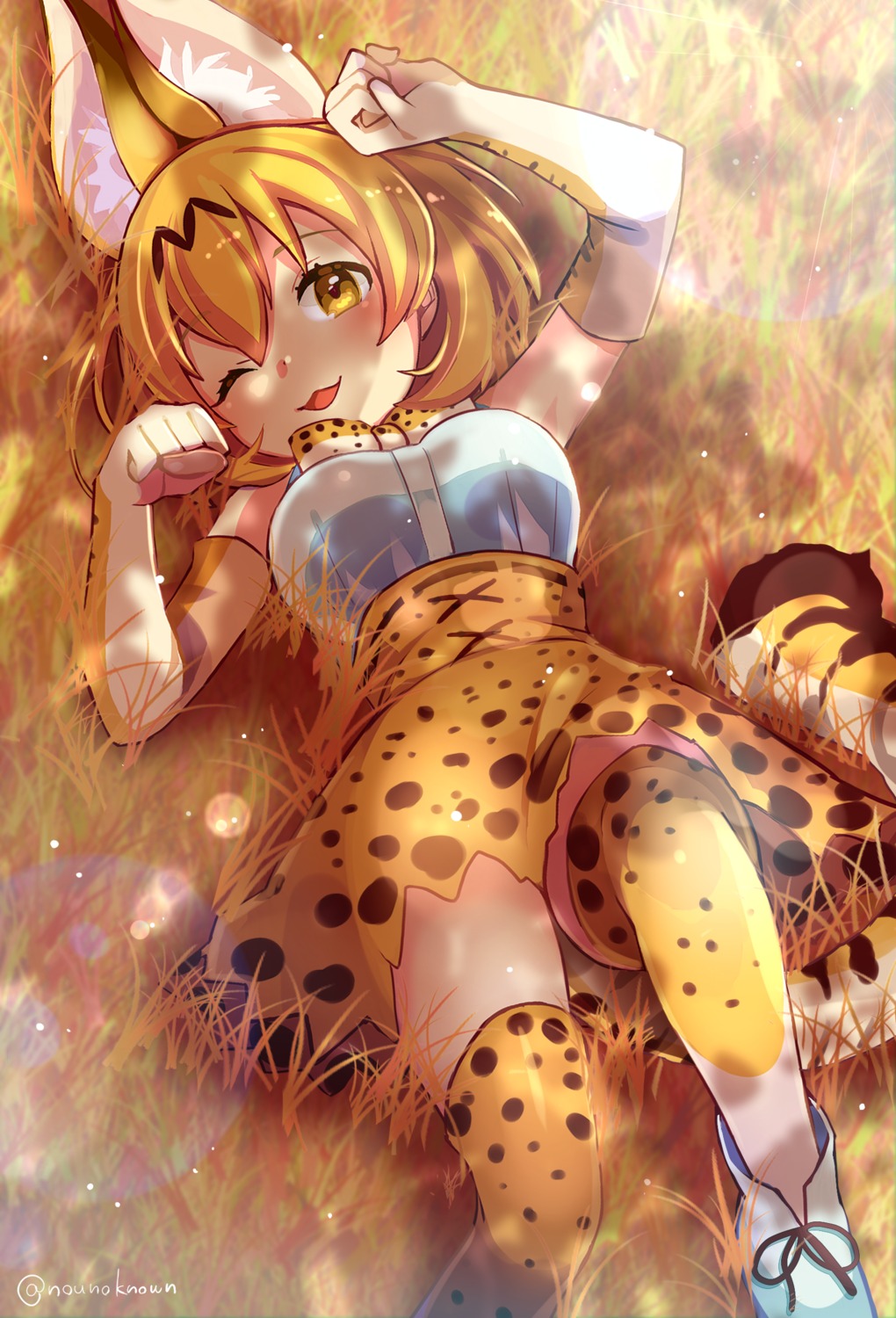 animal_ears kemono_friends nou serval tail thighhighs