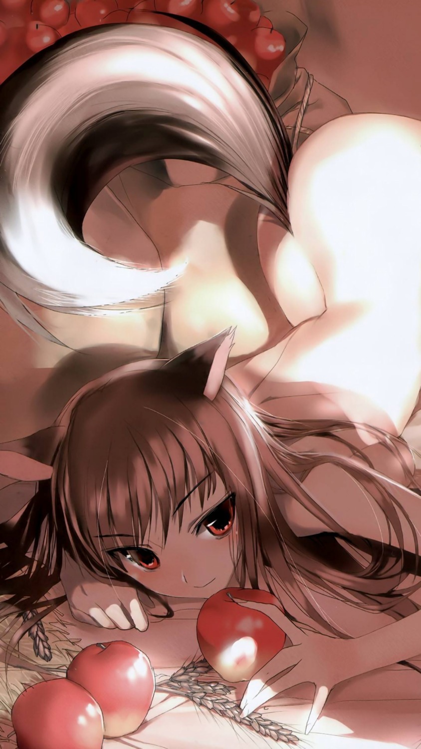 animal_ears hima holo naked spice_and_wolf tail