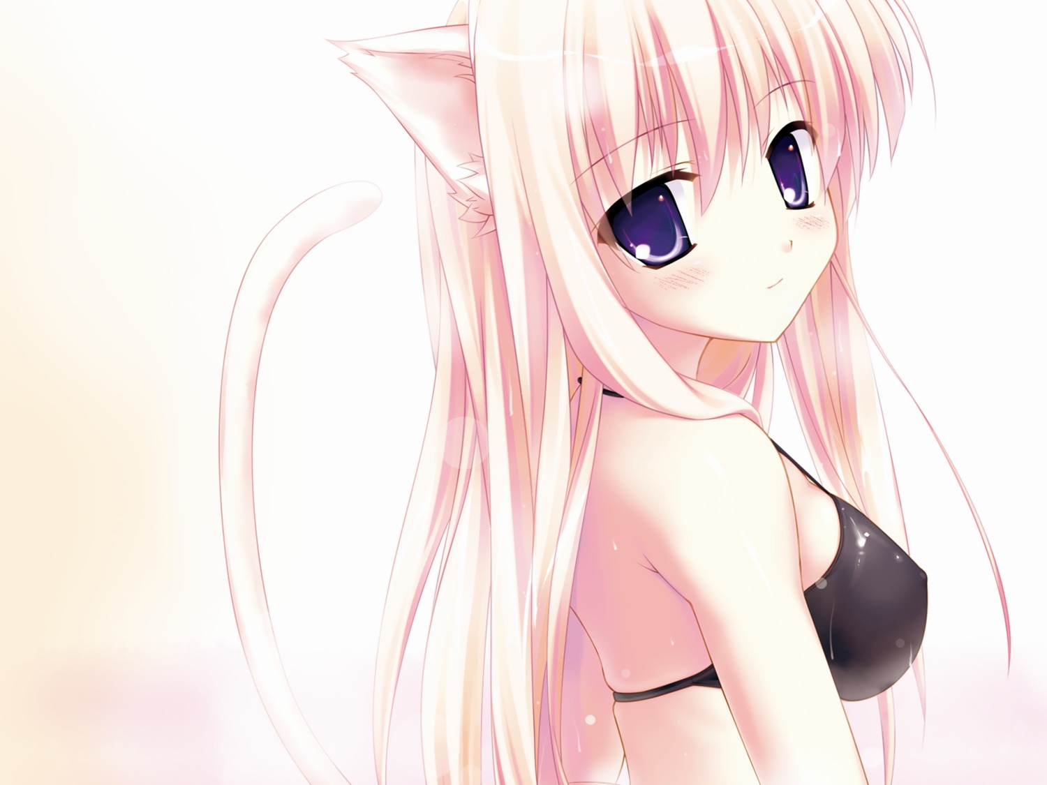 animal_ears nekomimi photoshop rise wallpaper