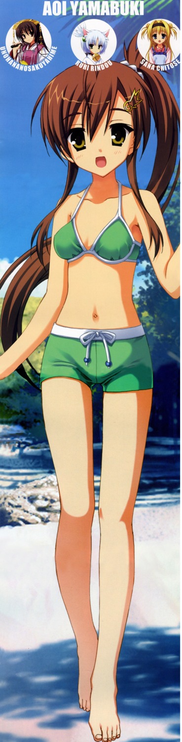 bikini chitose_sana kobuichi muririn rindou_ruri swimsuits tenshinranman unohananosakuyahime yamabuki_aoi