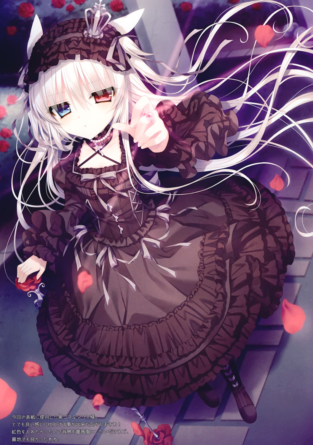 animal_ears dress gothic_lolita heterochromia lolita_fashion tsukikage_nemu