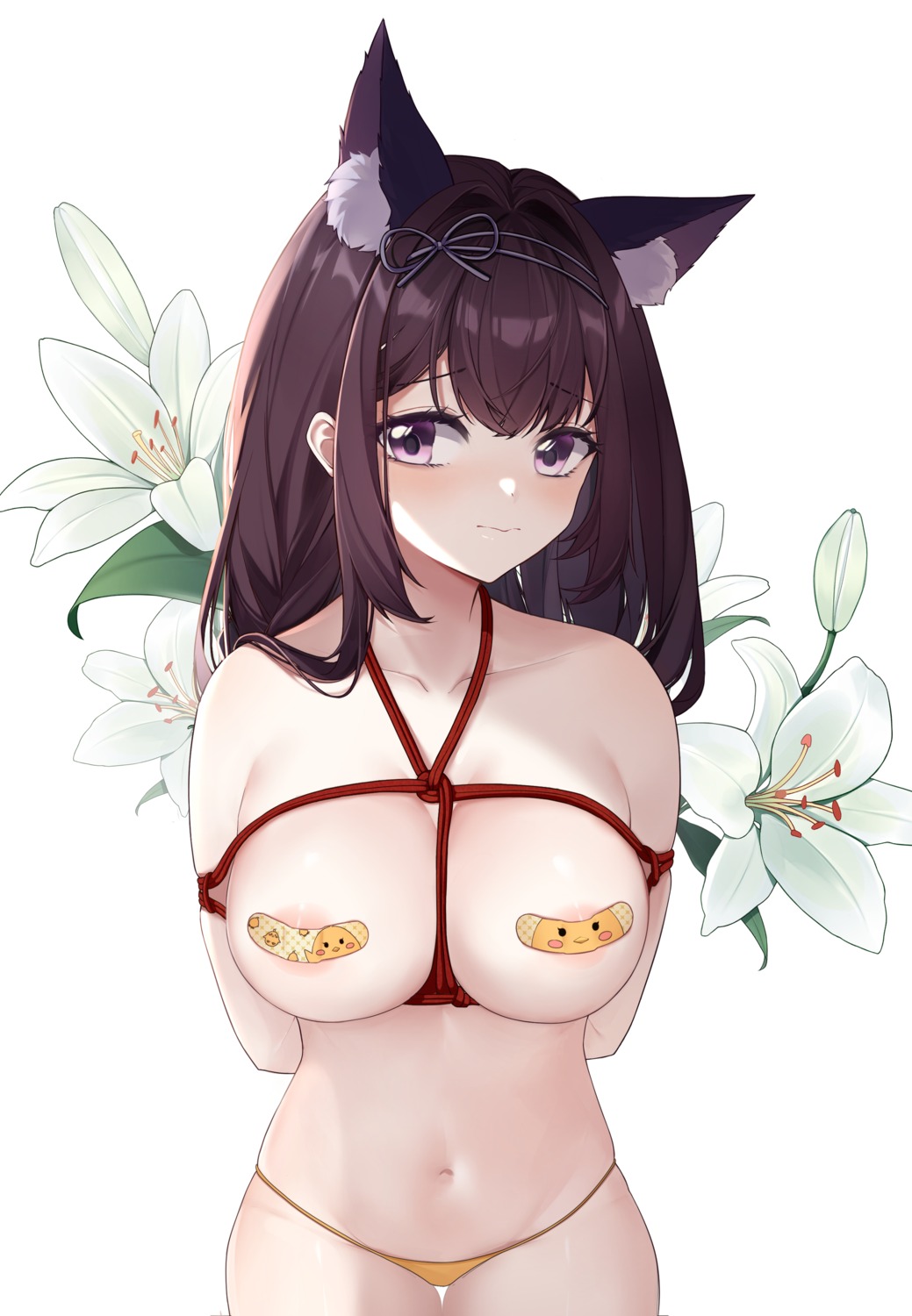 animal_ears areola azur_lane bandaid bondage hongyouling pasties topless