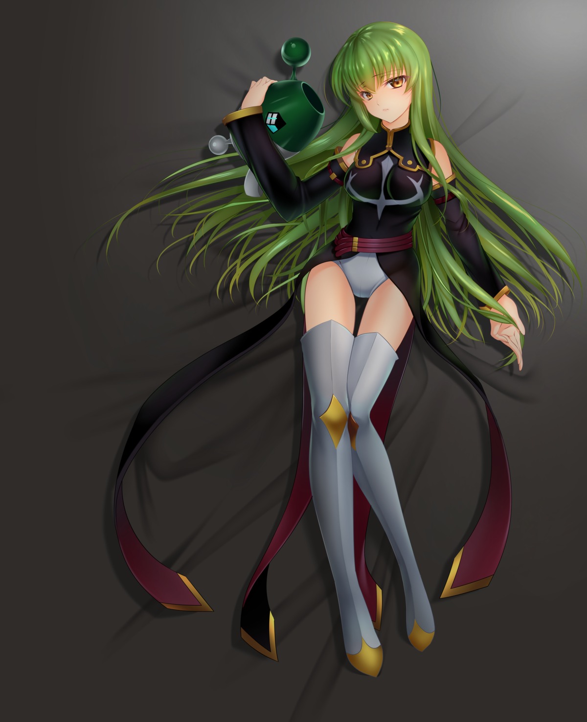 c.c. code_geass kinu leotard thighhighs