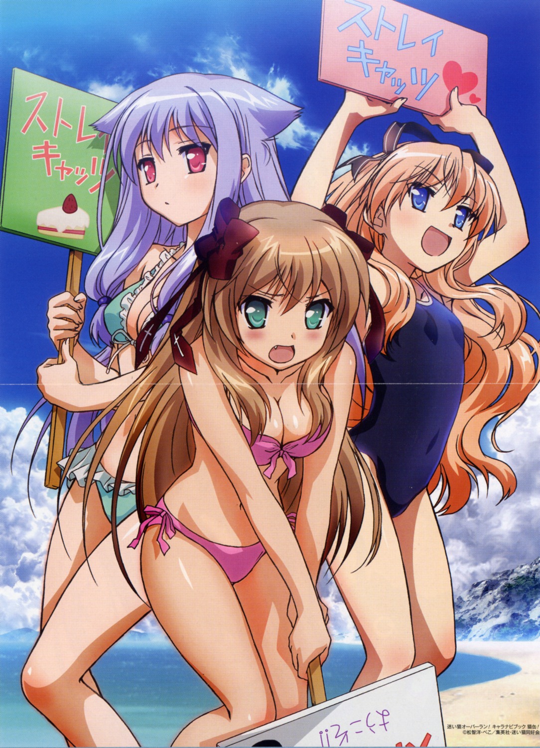 animal_ears bikini bleed_through cleavage crease kiriya_nozomi mayoi_neko_overrun nakamoto_naoko nekomimi serizawa_fumino swimsuits umenomori_chise