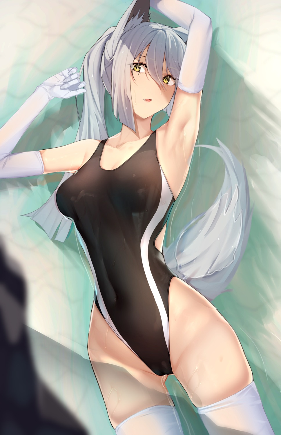 animal_ears pallad swimsuits thighhighs wet