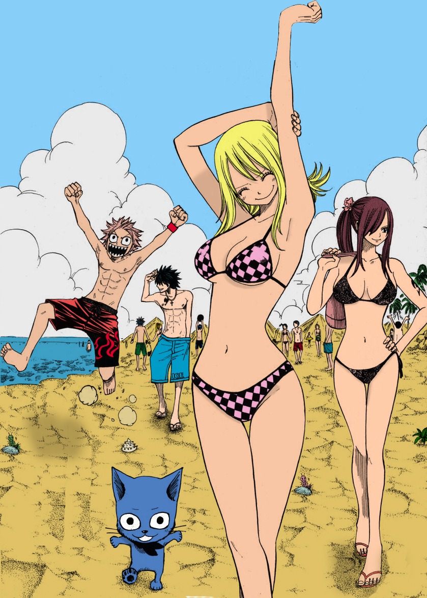 bikini cleavage erza_scarlet fairy_tail gray_fullbuster happy_(fairy_tail) jpeg_artifacts lucy_heartfilia mashima_hiro natsu_dragneel photoshop swimsuits