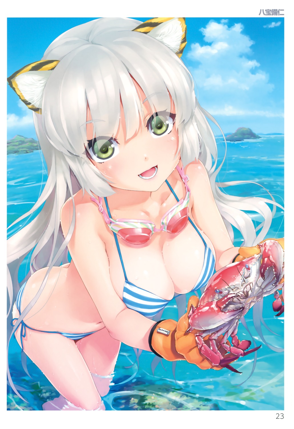 animal_ears bikini happoubi_jin nekomimi swimsuits toranoana wet