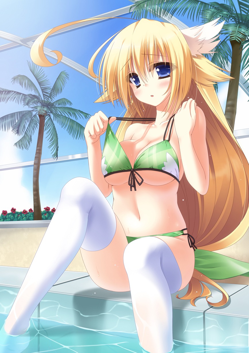 animal_ears bikini cleavage swimsuits thighhighs underboob yukisan