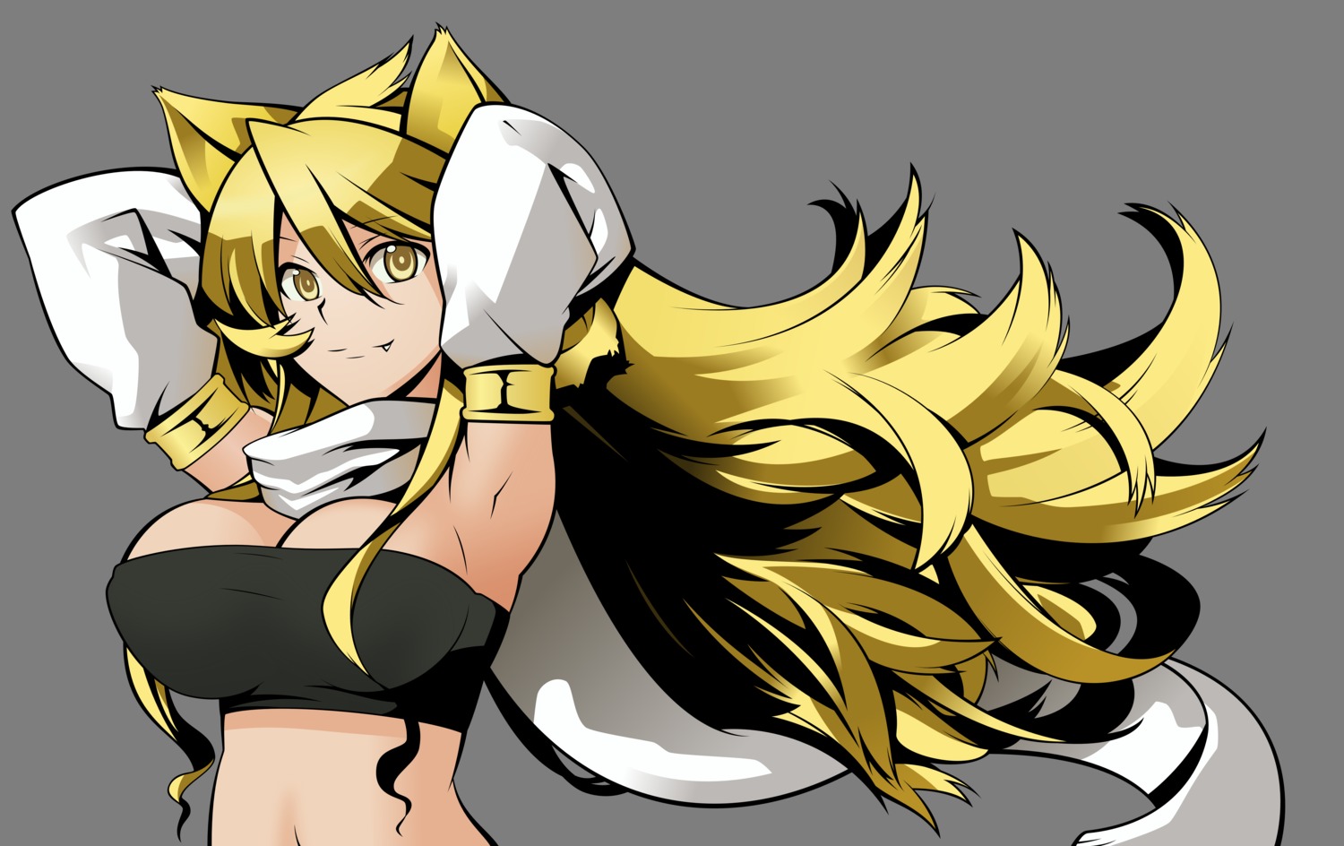 akame_ga_kill! animal_ears cleavage leone nekomimi tashiro_tetsuya transparent_png vector_trace