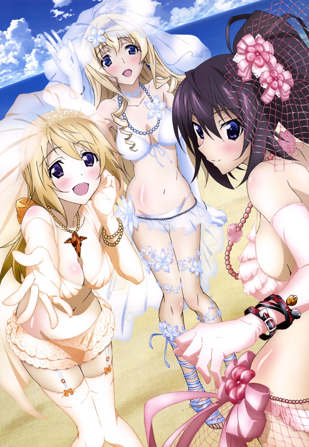 bikini cecilia_alcott charlotte_dunois cleavage fishnets infinite_stratos see_through shinonono_houki stockings swimsuits thighhighs