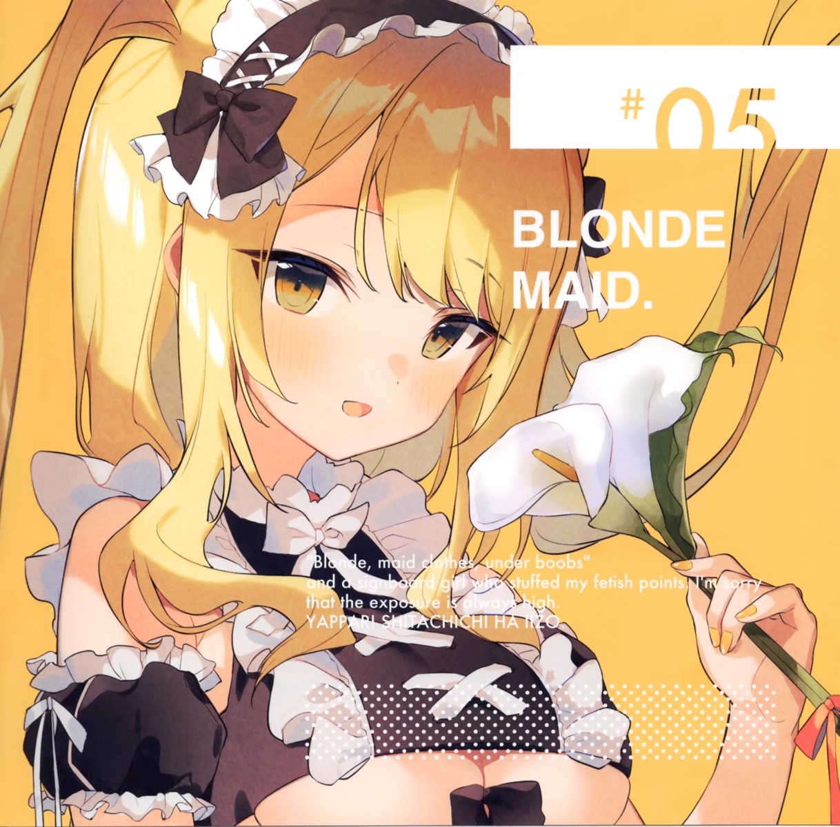 cona_kinaco disc_cover maid