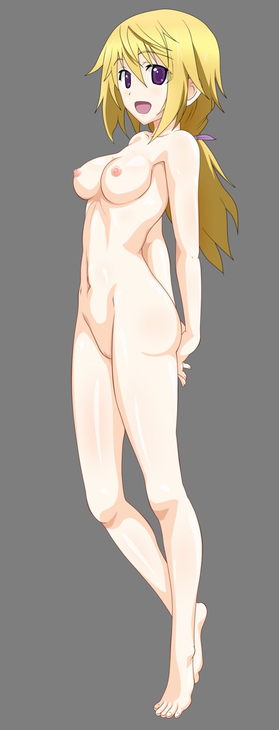 charlotte_dunois infinite_stratos naked nipples pussy transparent_png uncensored vector_trace