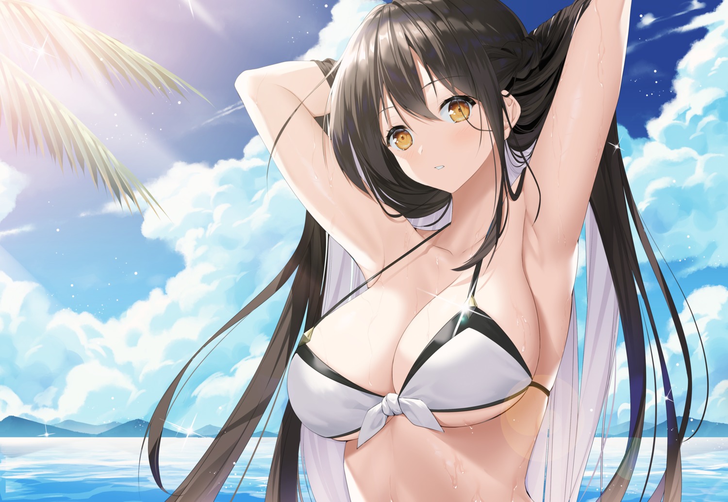 ara_haan bikini_top elsword swimsuits veca wet