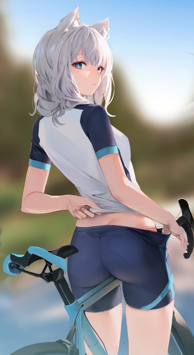 animal_ears ass bike_shorts blue_archive hiki_niito nekomimi sunaookami_shiroko undressing