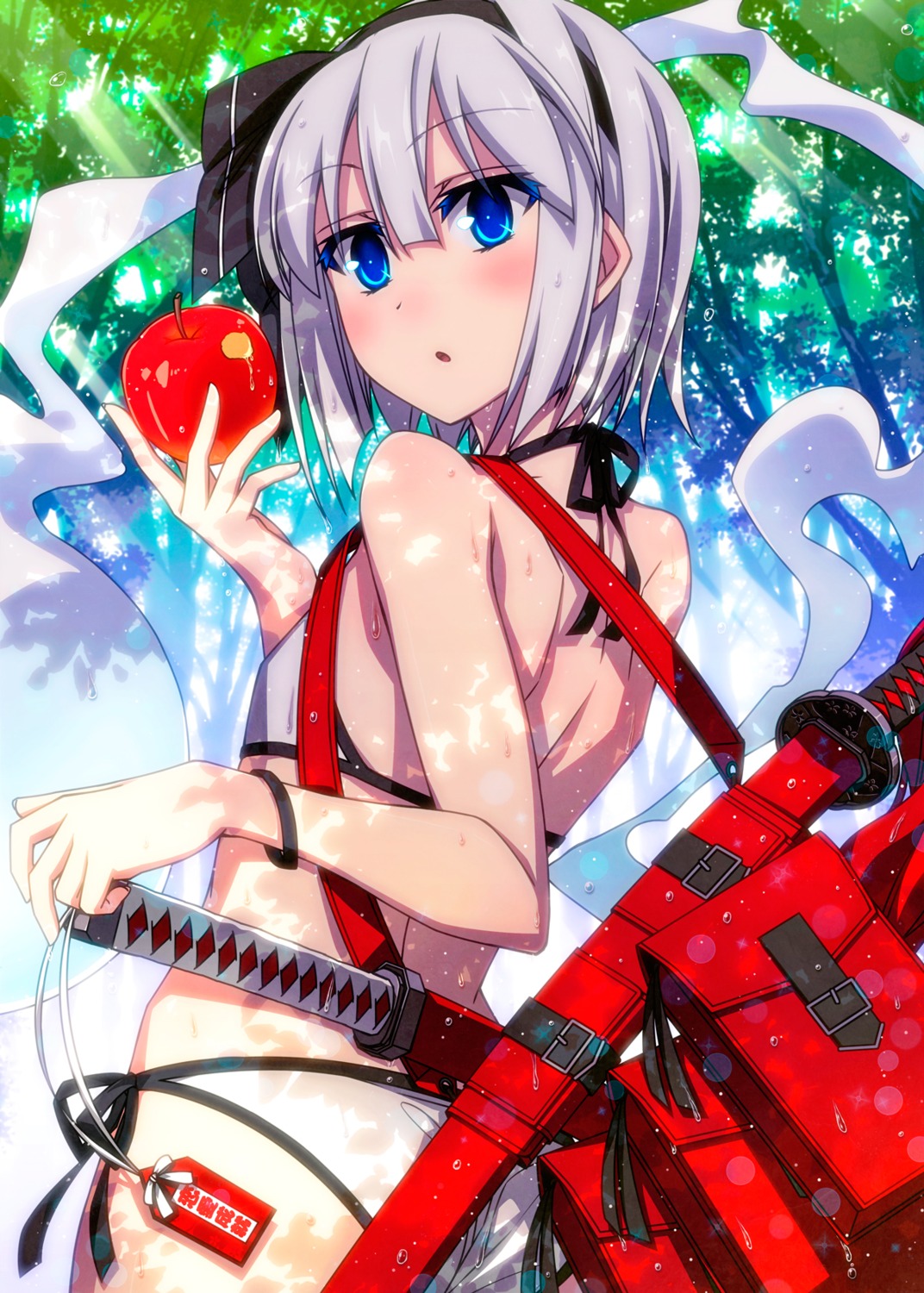 ass bikini konpaku_youmu myon sazanami_mio swimsuits sword touhou