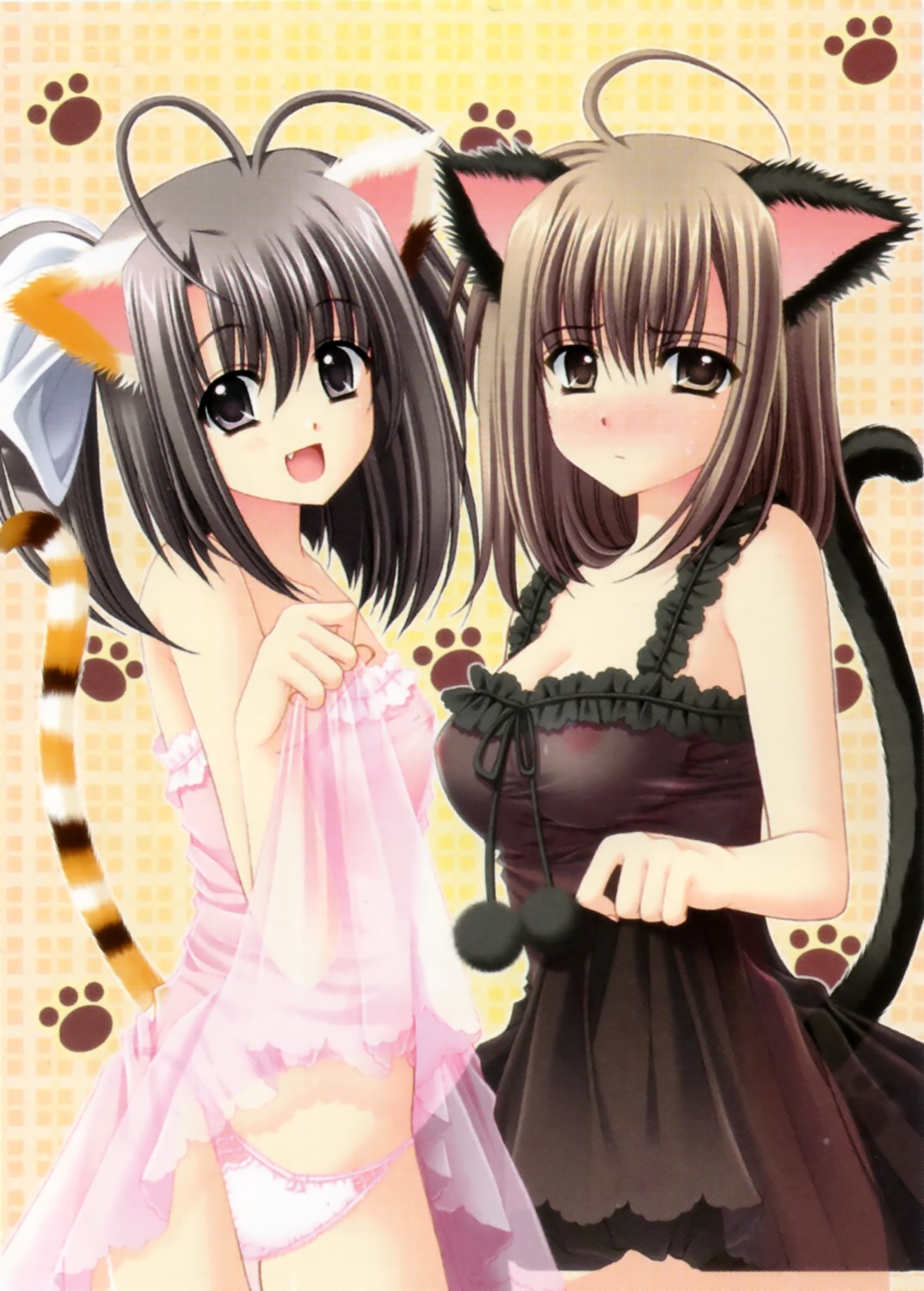 animal_ears lingerie nekomimi nipples nishimata_aoi ootori_naru oretachi_ni_tsubasa_wa_nai pantsu see_through tamaizumi_hiyoko