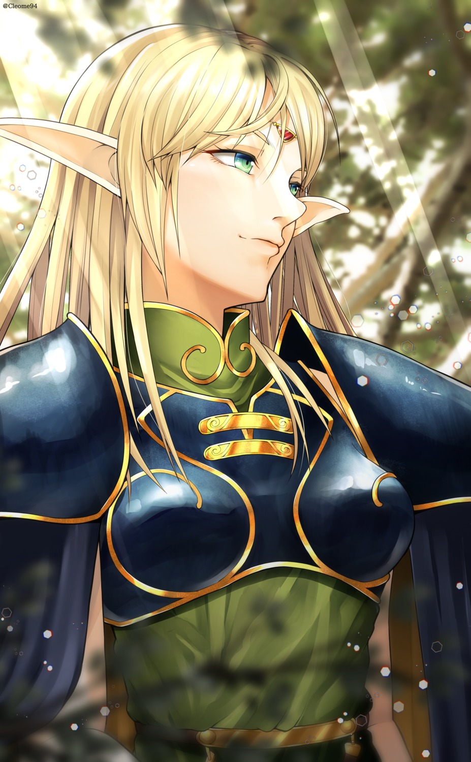armor cleome94 deedlit pointy_ears record_of_lodoss_war