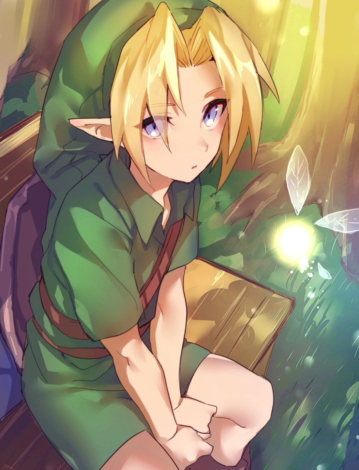 link maruchi pointy_ears the_legend_of_zelda