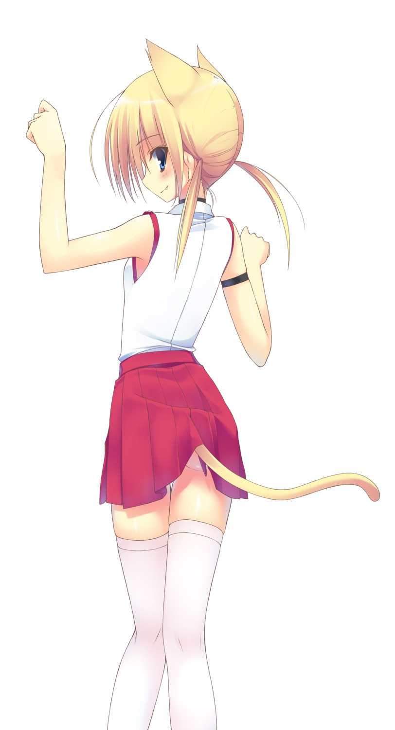 animal_ears ite_fuji nekomimi tail thighhighs