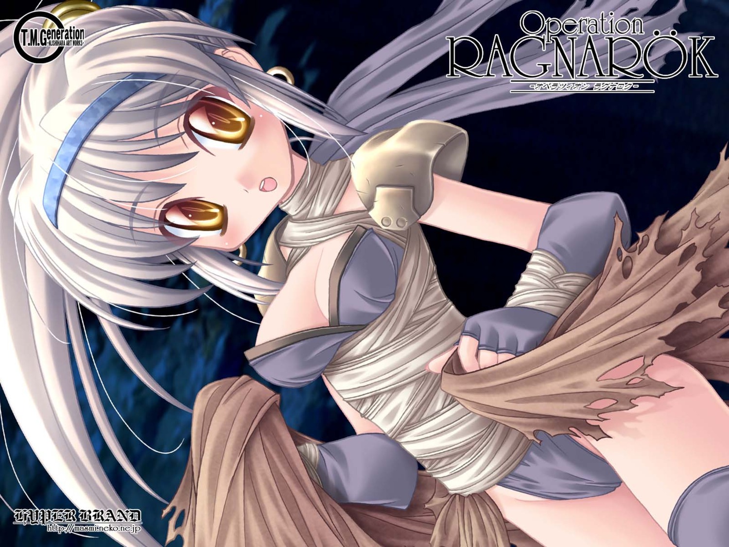 assassin ishihara_masumi jpeg_artifacts ragnarok_online wallpaper