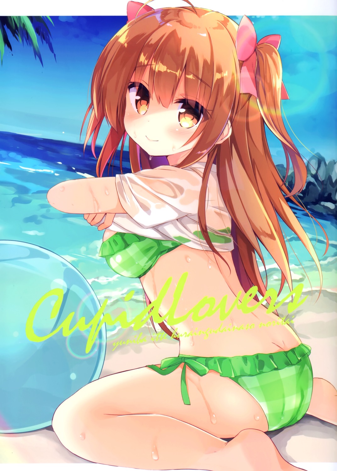 bikini dogyear kujou_danbo swimsuits undressing wet_clothes