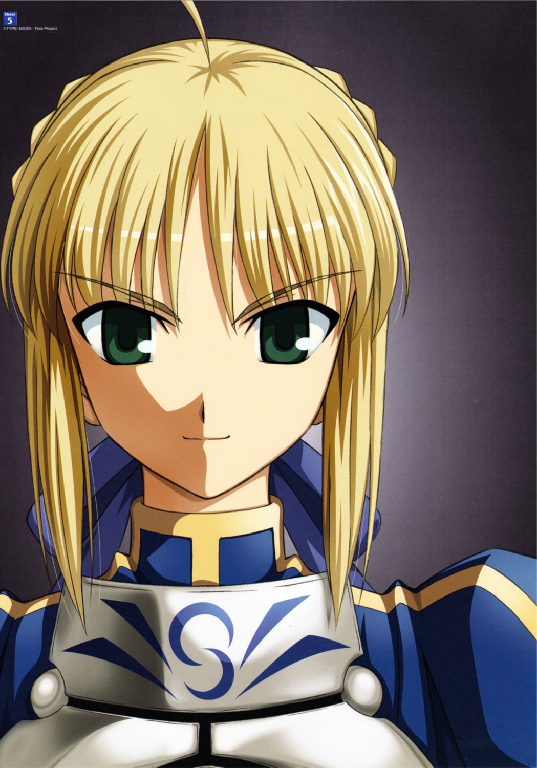 fate/stay_night saber