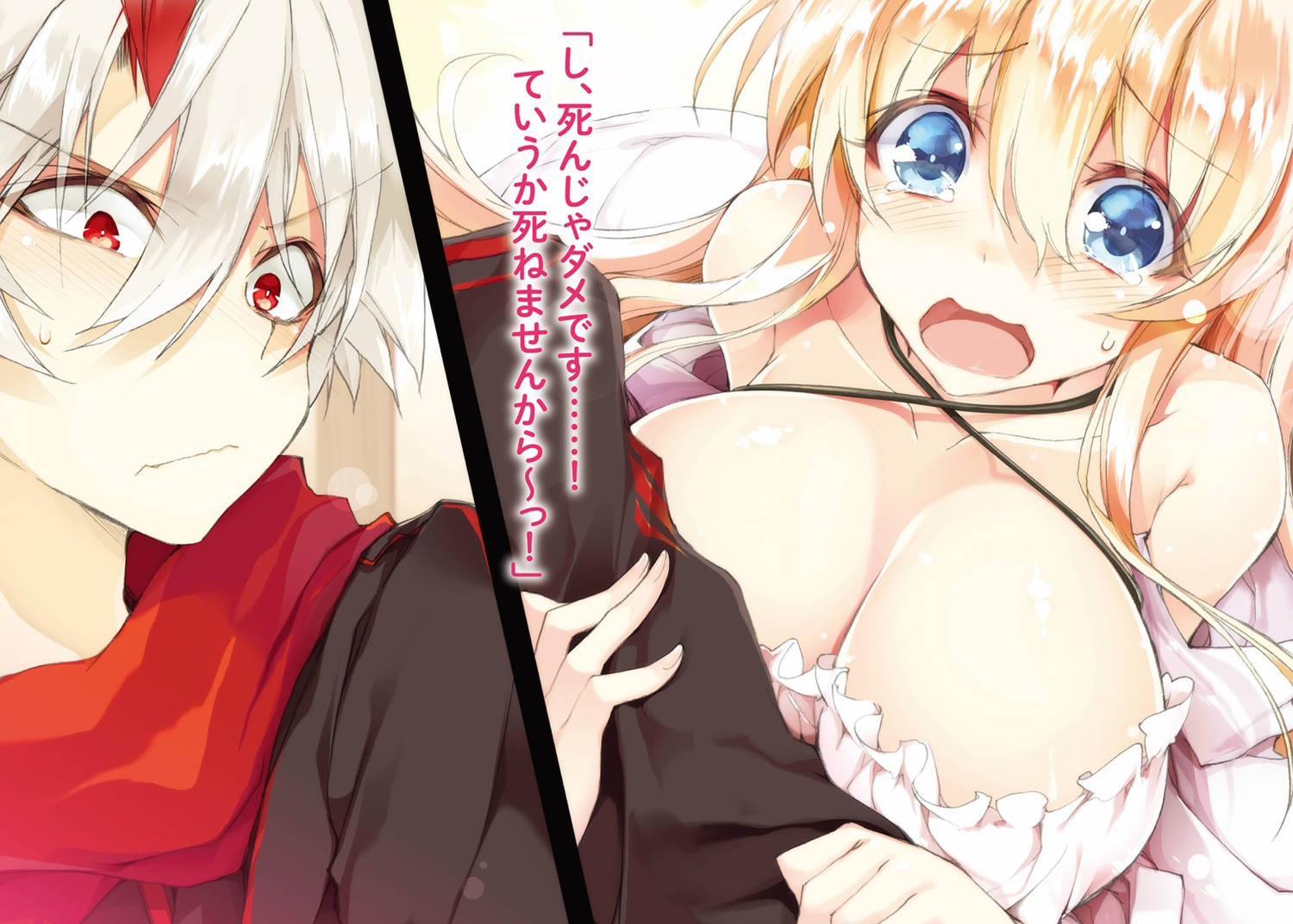 cleavage eiyuu_naki_sekai_ni_last_boss_tachi_wo! won_(az_hybrid)