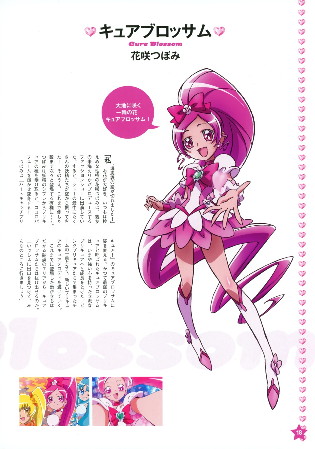 hanasaki_tsubomi heartcatch_pretty_cure! kawamura_toshie pretty_cure