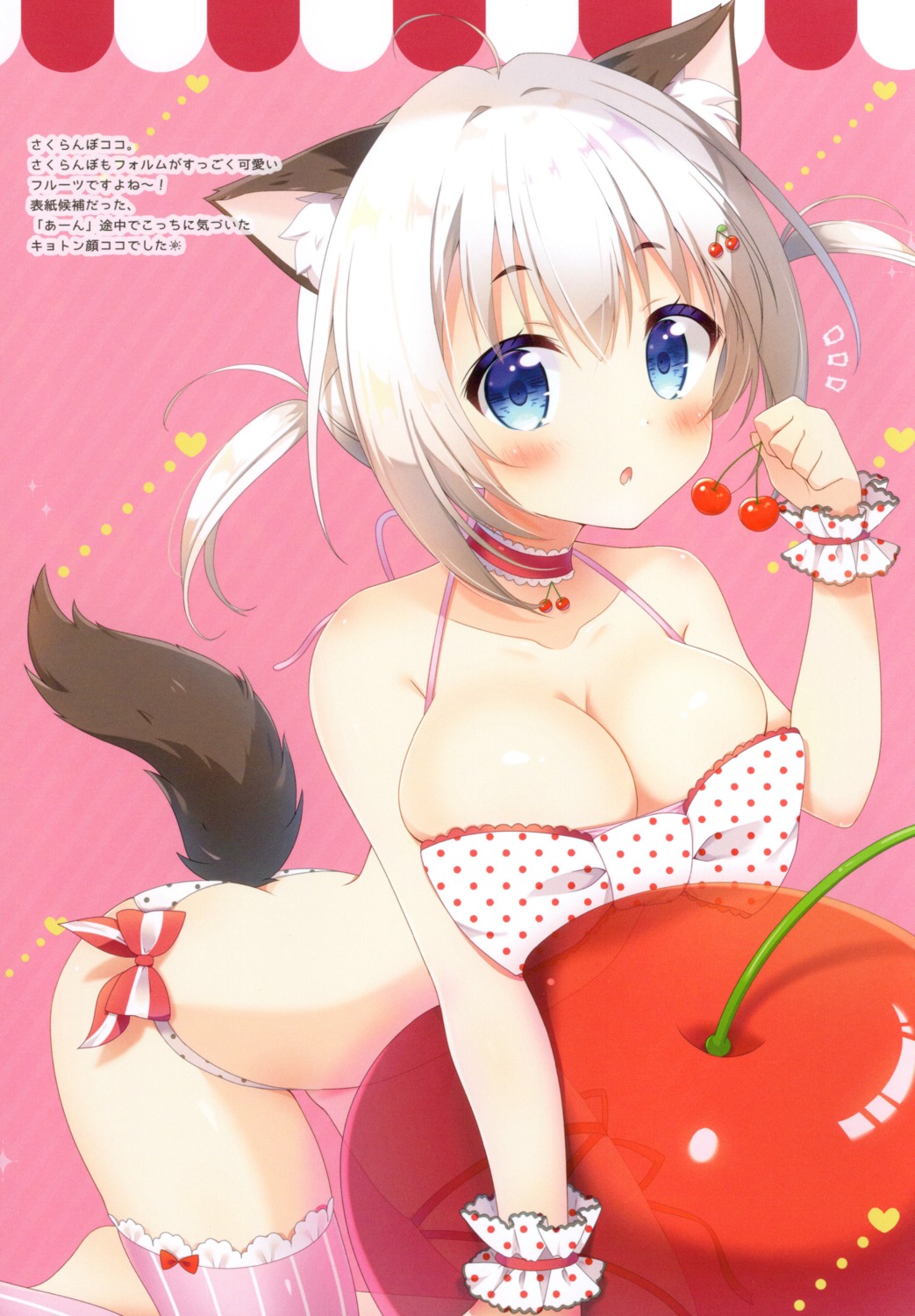 animal_ears aoi_yun bikini swimsuits tail thighhighs