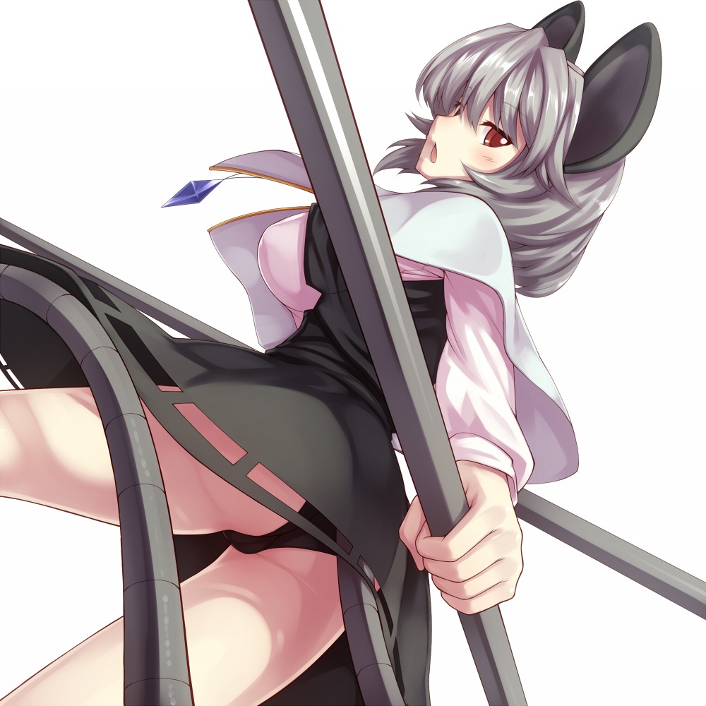 animal_ears cameltoe nazrin pantsu tail touhou tro