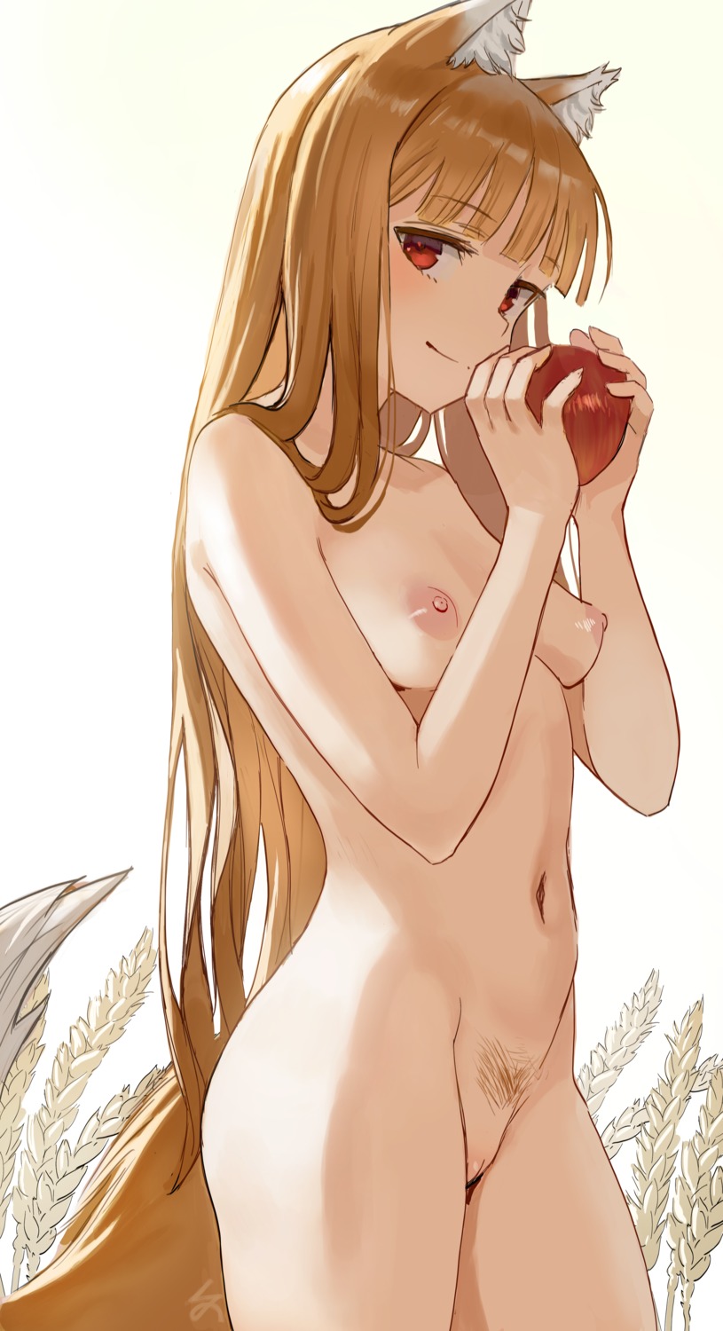animal_ears holo naked nipples pubic_hair pussy spice_and_wolf tail uncensored zefrableu