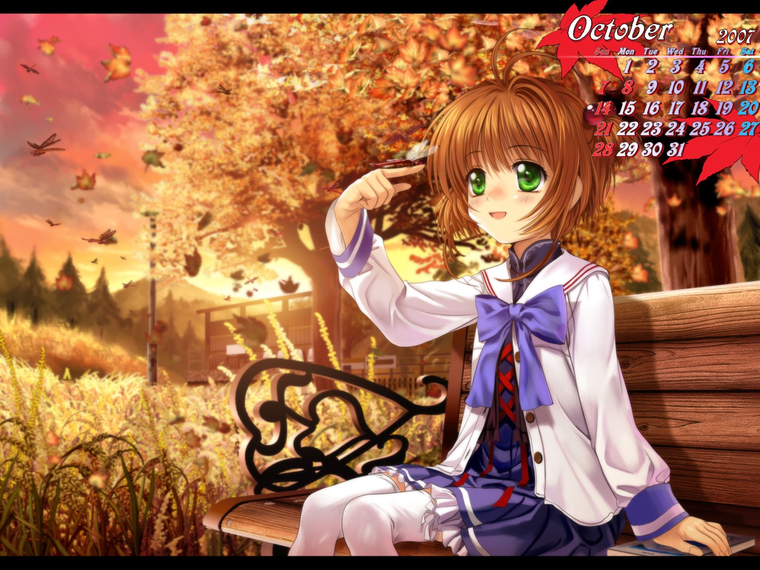 calendar card_captor_sakura kinomoto_sakura moonknives thighhighs