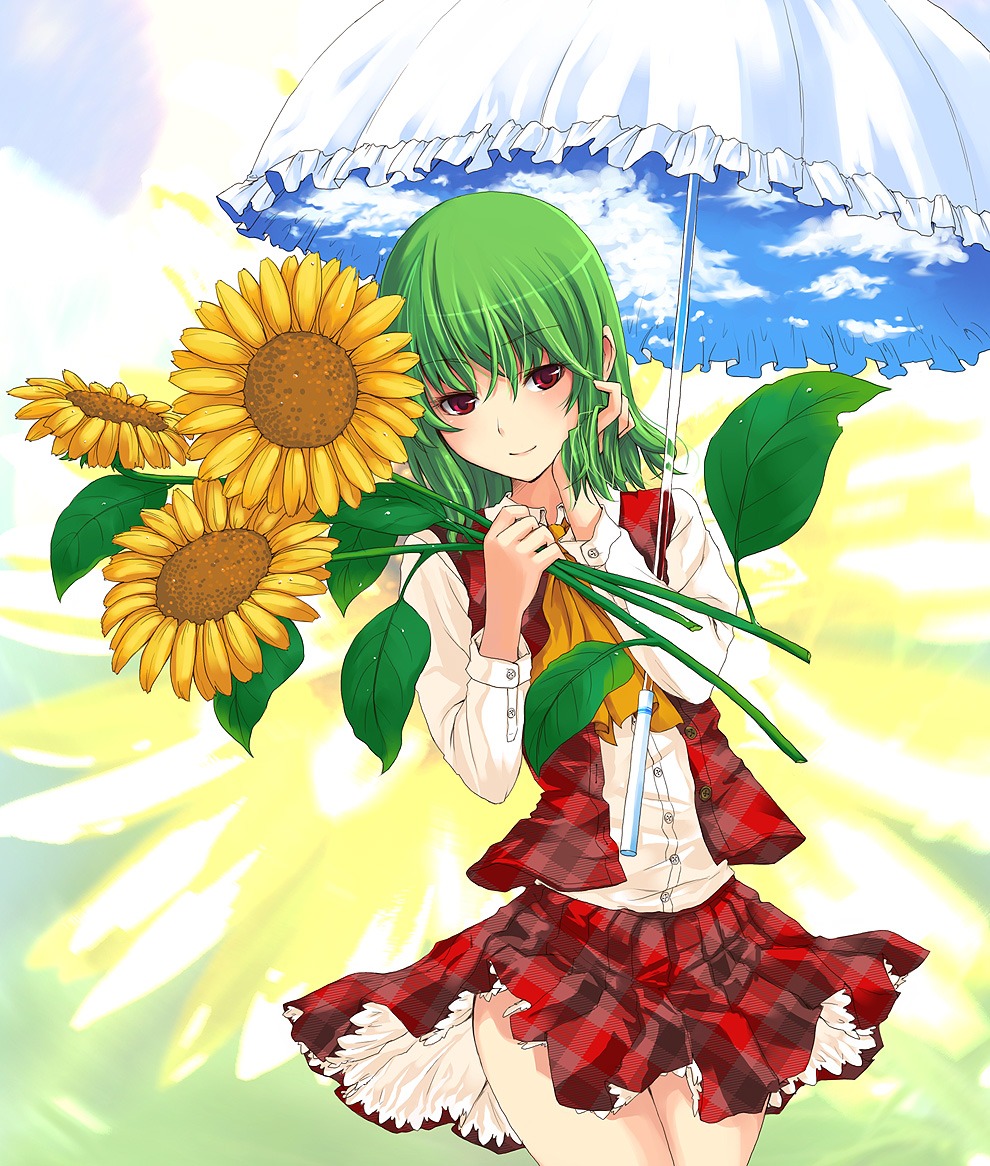 kazami_yuuka touhou unasaka