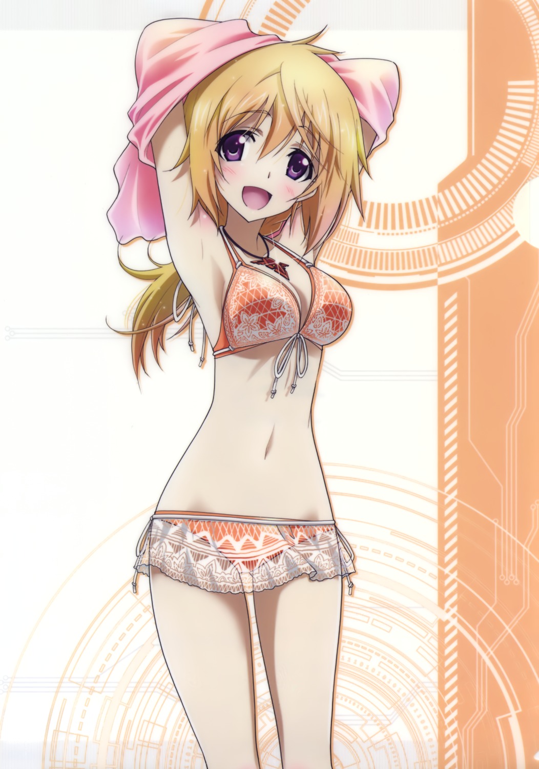 bikini charlotte_dunois cleavage infinite_stratos see_through shirt_lift swimsuits tagme undressing