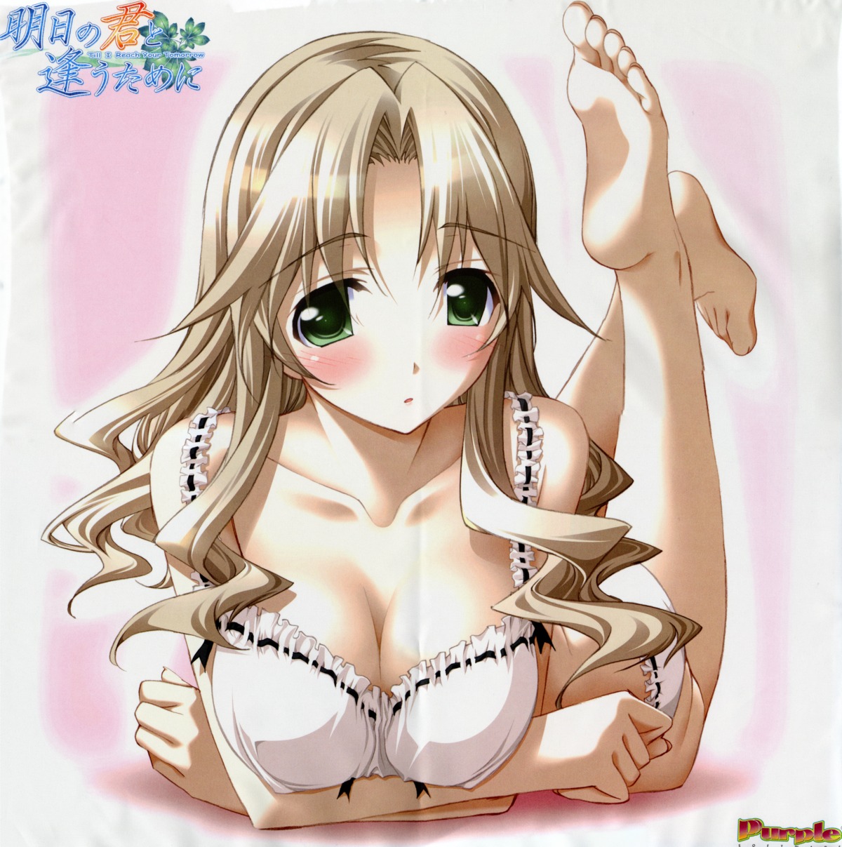 ashita_no_kimi_to_au_tame_ni bra breast_hold cleavage crease disc_cover feet kurashima_tomoyasu pantsu yuugiri_ruriko