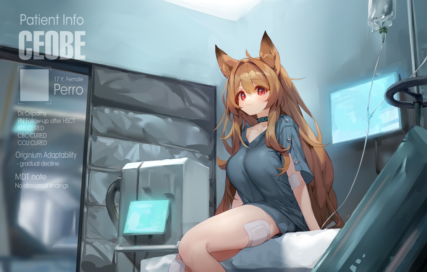 animal_ears arknights bandaid ceobe_(arknights) tai_(e3d1p)