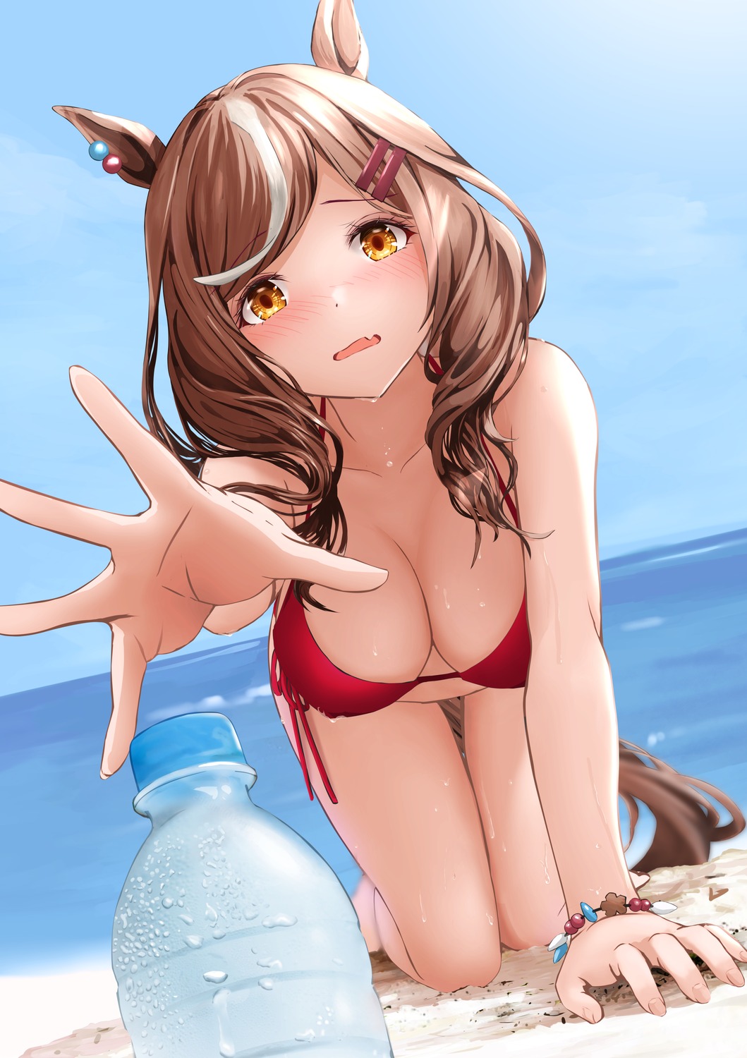 animal_ears artist_revision bikini gibun_(sozoshu) matikane_tannhauser_(umamusume) swimsuits tail uma_musume_pretty_derby