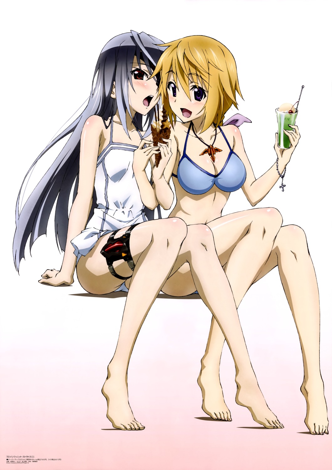 anno_masato bikini charlotte_dunois cleavage infinite_stratos laura_bodewig swimsuits