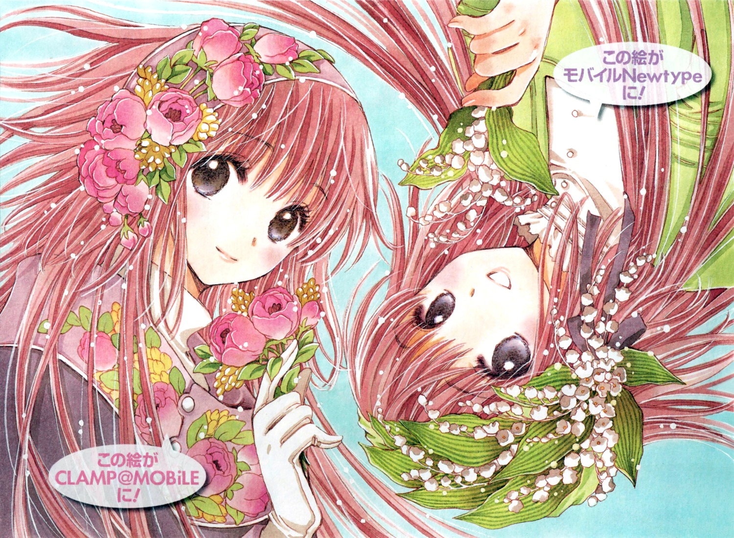 clamp hanato_kobato kobato