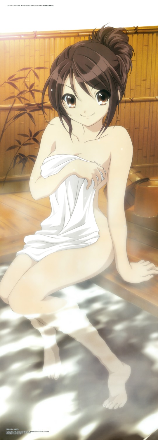 breast_hold cleavage ikeda_shouko naked onsen stick_poster suzumiya_haruhi suzumiya_haruhi_no_yuuutsu towel wet