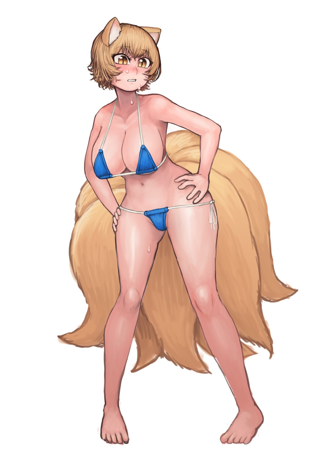 animal_ears bikini chanta kitsune swimsuits tail touhou wet yakumo_ran
